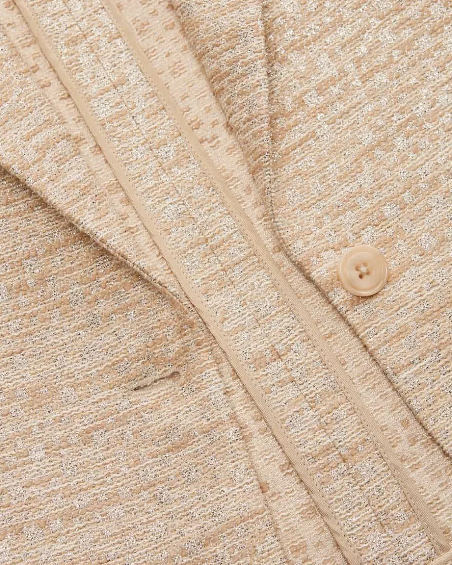 Shiny Coolness Blazer